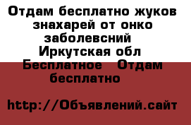 Отдам бесплатно жуков-знахарей от онко заболевсний - Иркутская обл. Бесплатное » Отдам бесплатно   